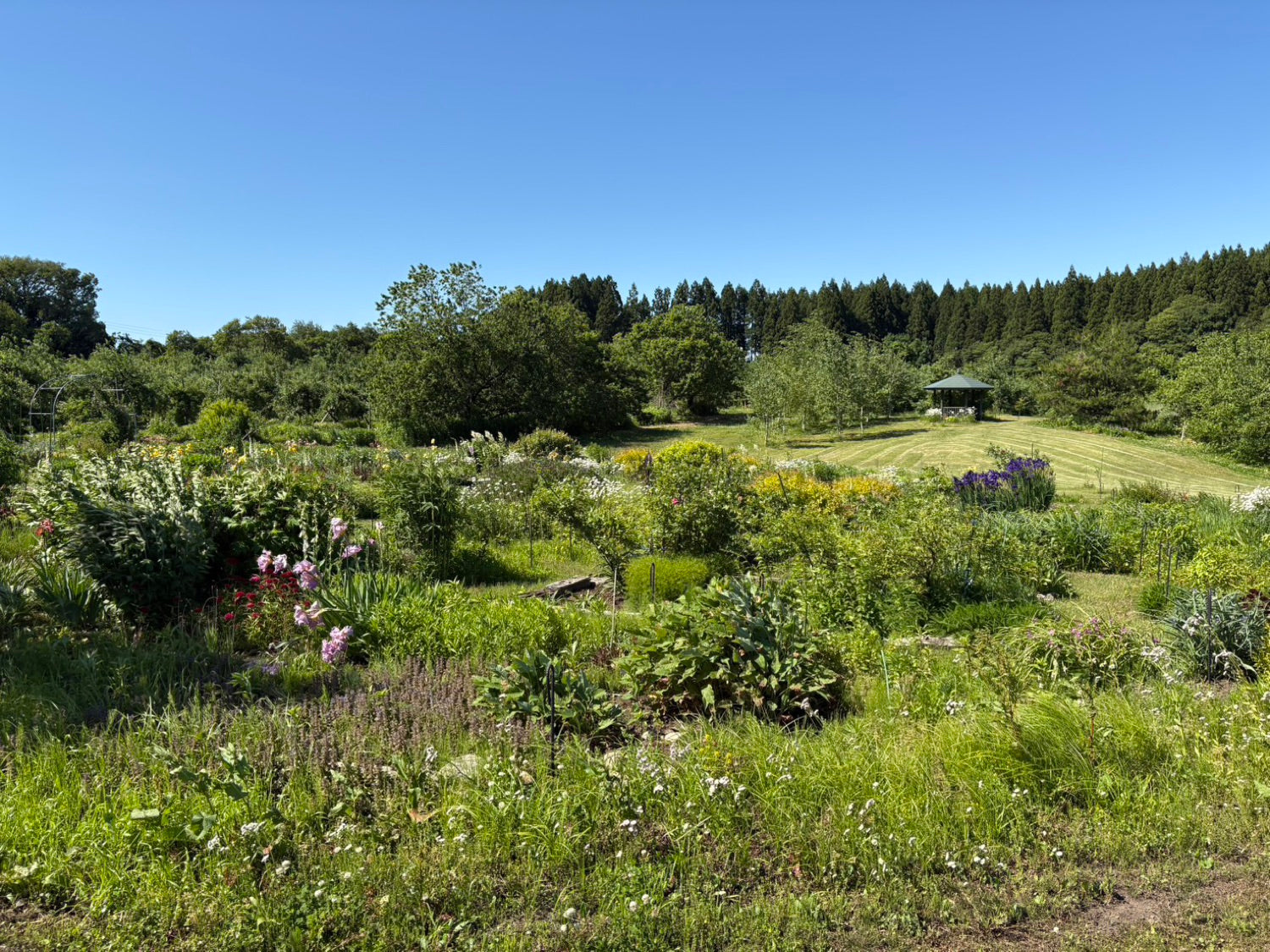 GARDEN